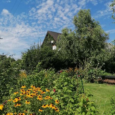 Appartamento Dziewanna Brzeziniec Esterno foto