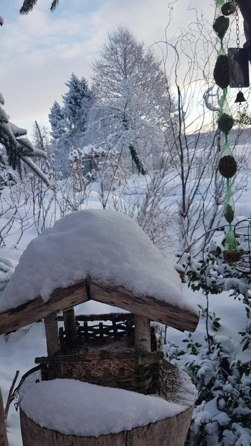 Appartamento Dziewanna Brzeziniec Esterno foto