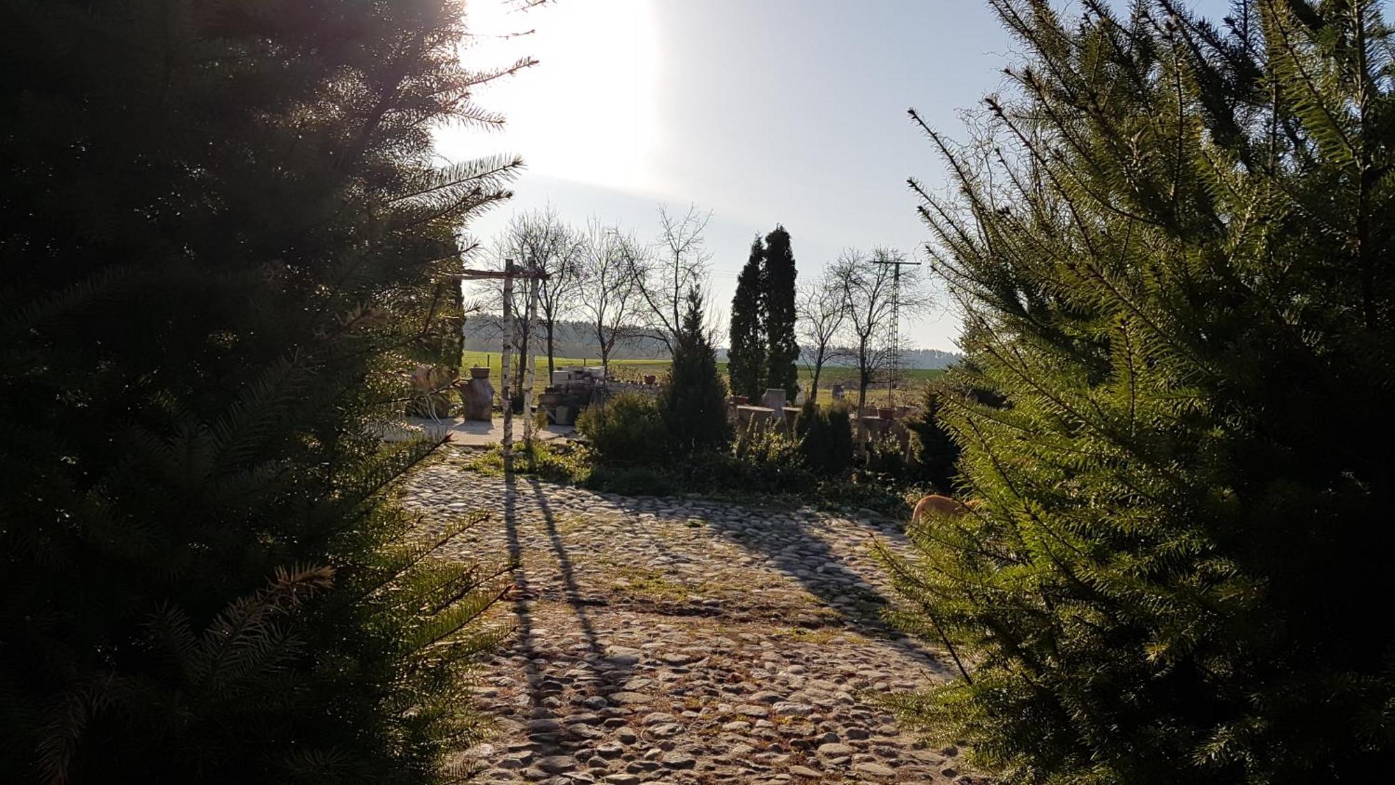 Appartamento Dziewanna Brzeziniec Esterno foto